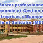 Master professionnel Economie et Gestion des Entreprises d’Economie Sociale et Solidaire (MEGEES)