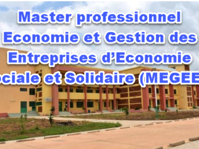 Master professionnel Economie et Gestion des Entreprises d’Economie Sociale et Solidaire (MEGEES)