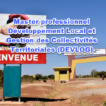 Master professionnel Développement Local et Gestion des Collectivités Territoriales (DEVLOG)